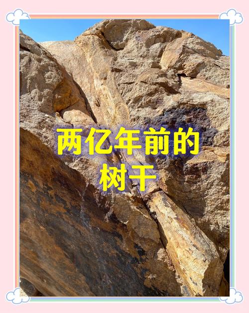 亚洲唯一化石类世界遗产，承载5亿多年前生命大爆发的奥秘