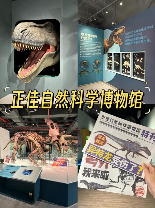 亚洲唯一化石类世界遗产，承载5亿多年前生命大爆发的奥秘