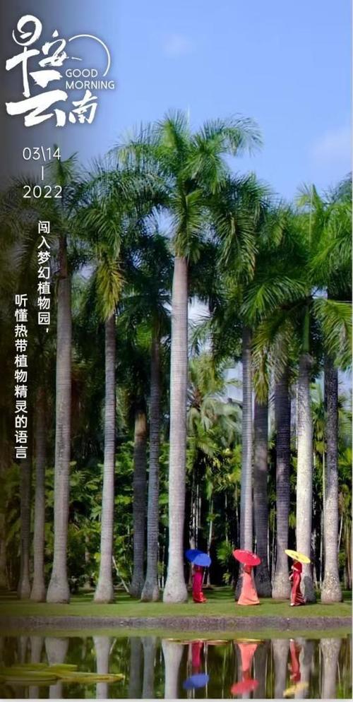 北回归线上的绿宝石，是与热带植物对话的天堂