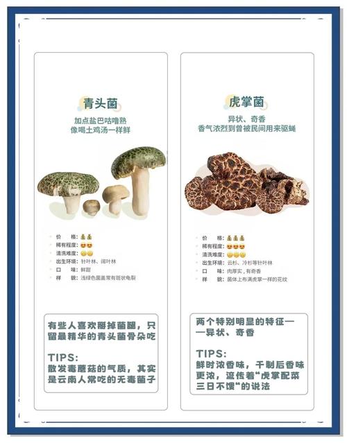 在我们云南,“张飞”“关羽”是美味的野生菌