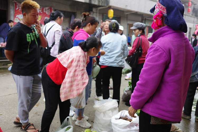 走进元江羊岔街，探访古朴神秘的南溪老林