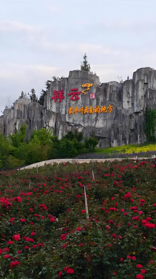 云南“国字号”森林公园