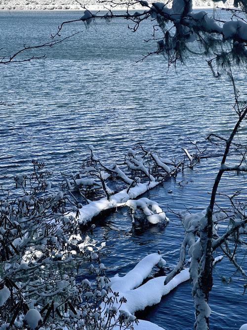 云南普达措：雪霁初晴 银装素裹分外美丽