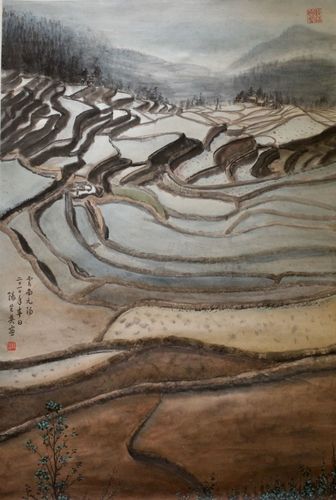 元阳举办画家画元阳活动