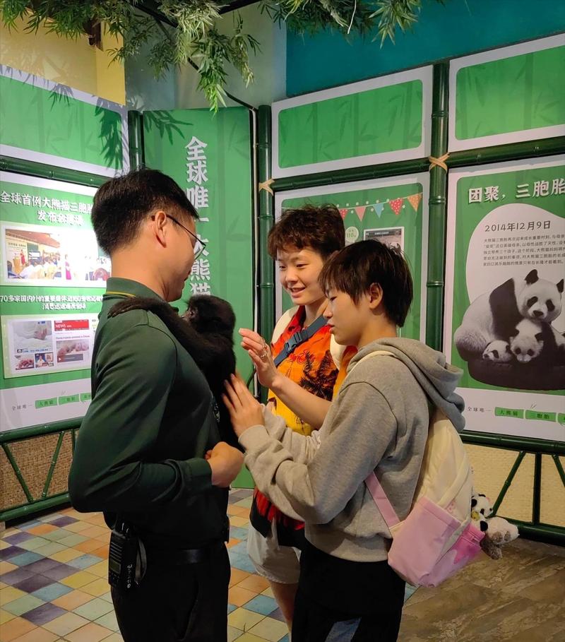 全红婵妹妹快来，云南游乐园和动物园邀请你来玩！