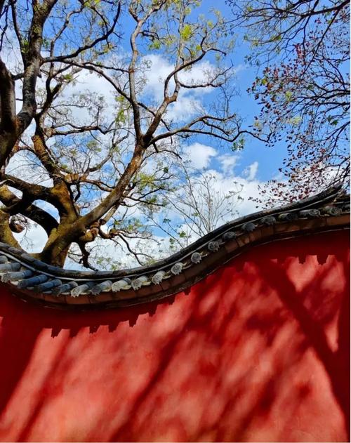大理鹤庆：芳菲四月，长日欣喜