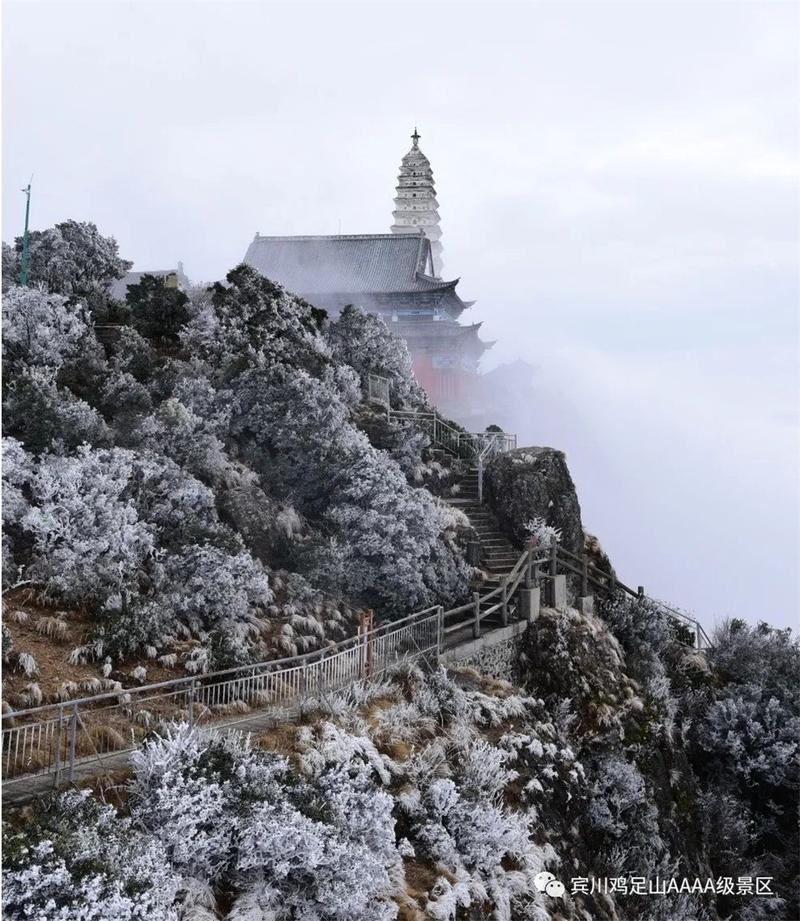 鸡足山听雪 《人民日报海外版》刊文描绘云南宾川鸡足山绝美雪景