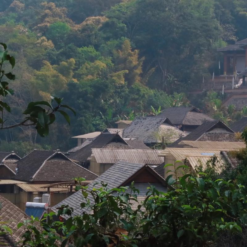 新晋世界遗产地景迈山带热周边乡村旅游