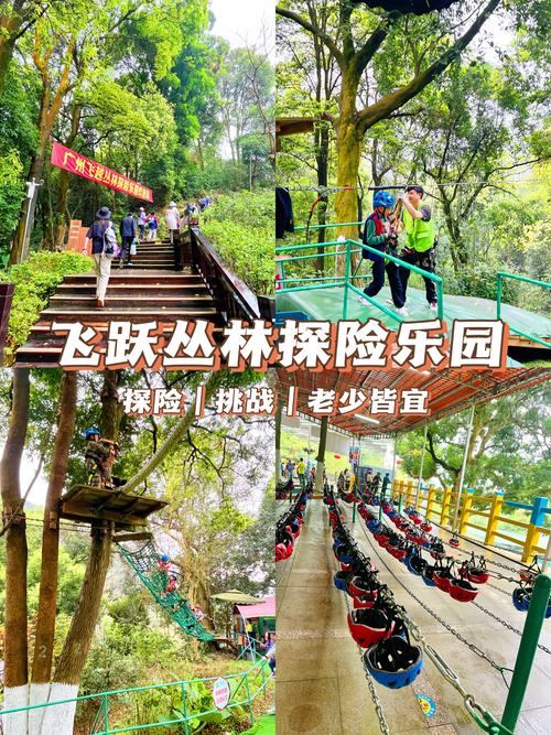 普洱市首个丛林探险项目落成