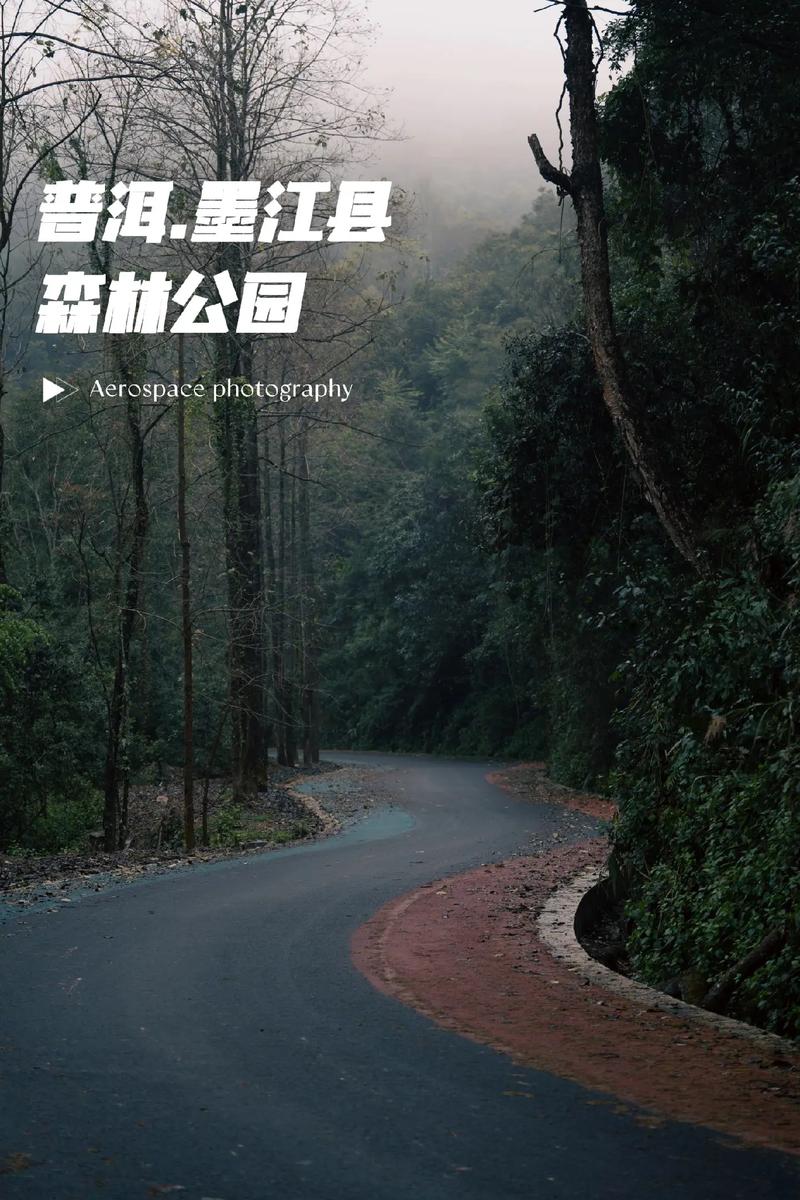 云南墨江国家森林公园 获批普洱拥有三个国家级森林公园