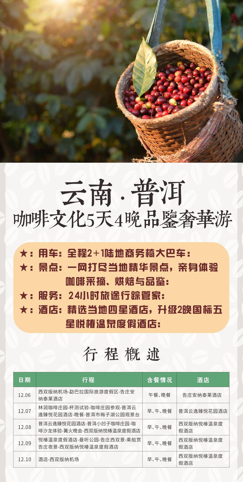 云南普洱的咖啡故事