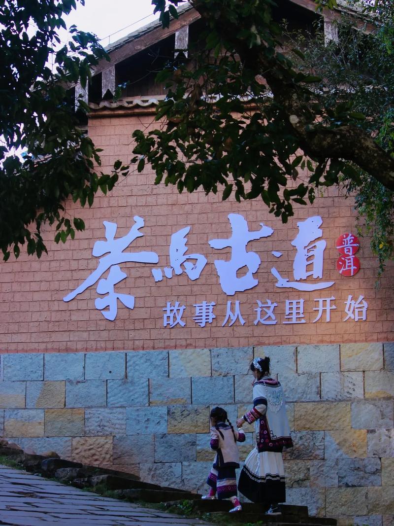 因茶而生，为马而生丨听山间铃响马帮来，看滇藏茶马古道景！