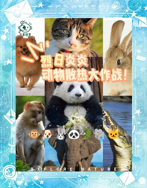 天气太热，看看动物园的“小朋友”们是怎么解暑的