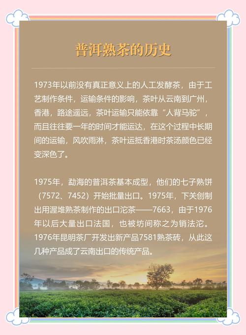 细说普洱熟茶的前世今生