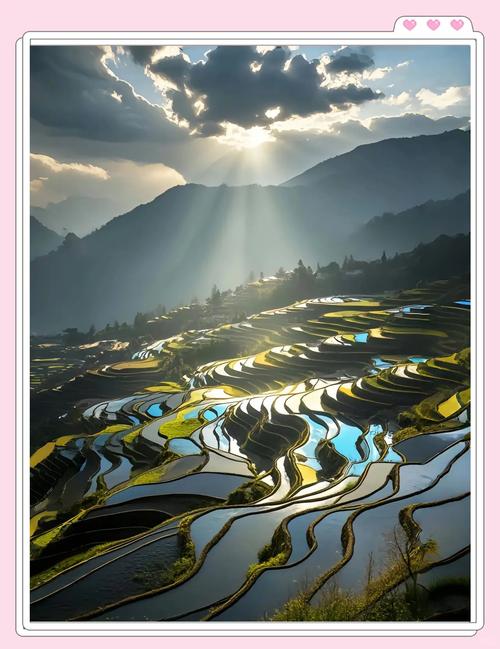 美翻摄影师相机的秋季元阳梯田