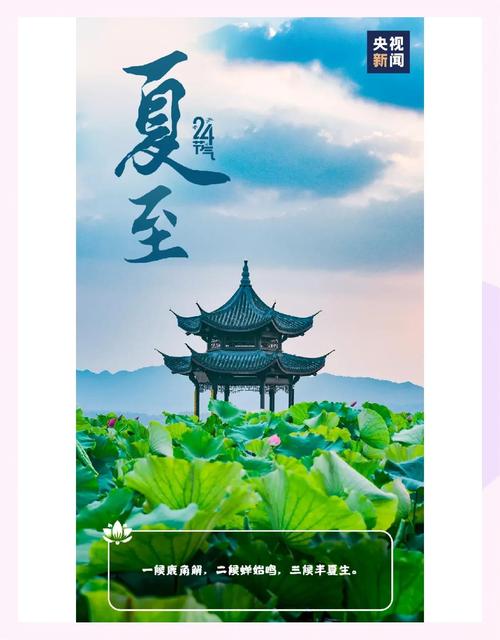 观奇景｜普洱人的夏至