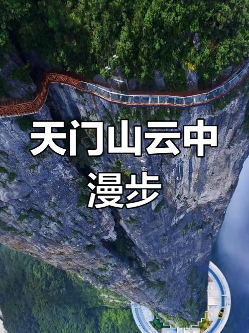 高空玻璃栈道，你敢来挑战吗？
