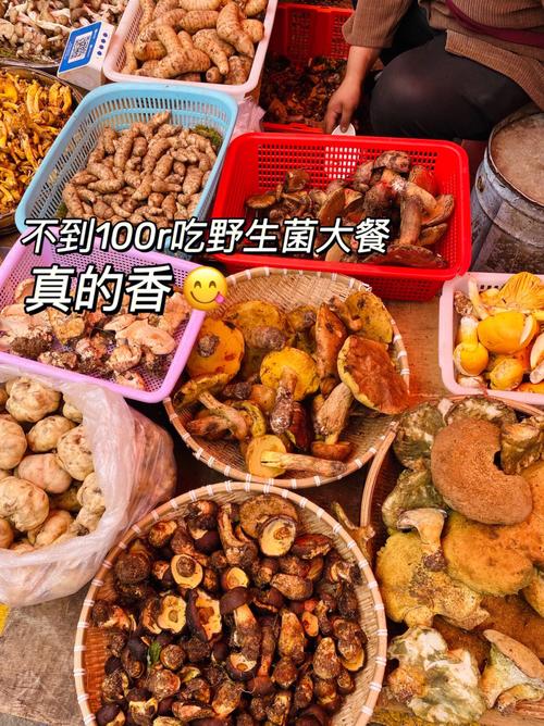 为菌疯狂的时候到了！来云南不能错过的野生菌吃法