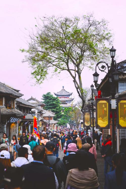 大理三月好风光 古街千年等您来