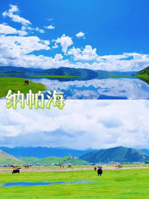 有一种叫云南的生活丨香格里拉 其实并不遥远