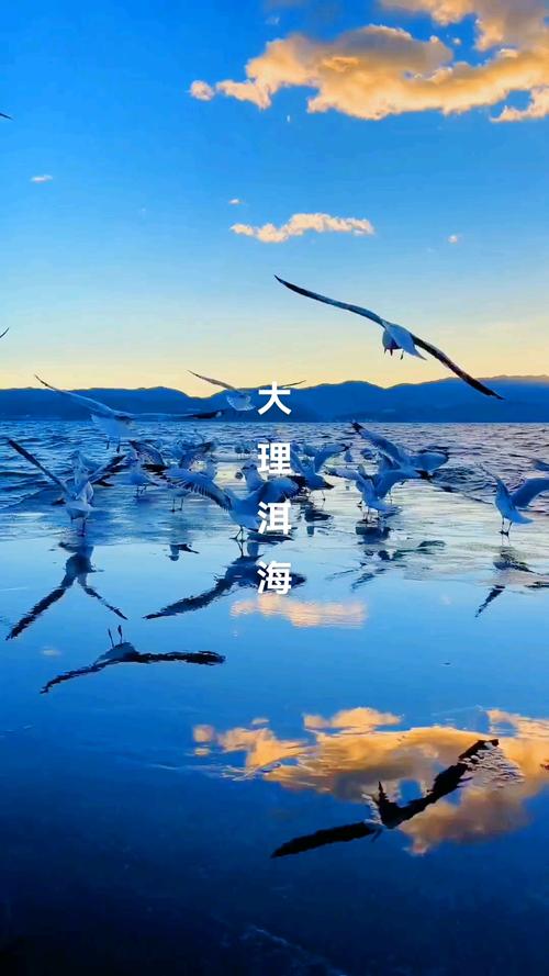 来云南看海吧！——细数云南那些壮观的云海！